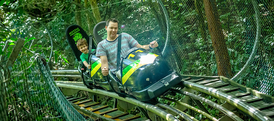 bobsled-skyride-zipline-1