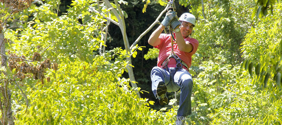 zipline-canopy-2